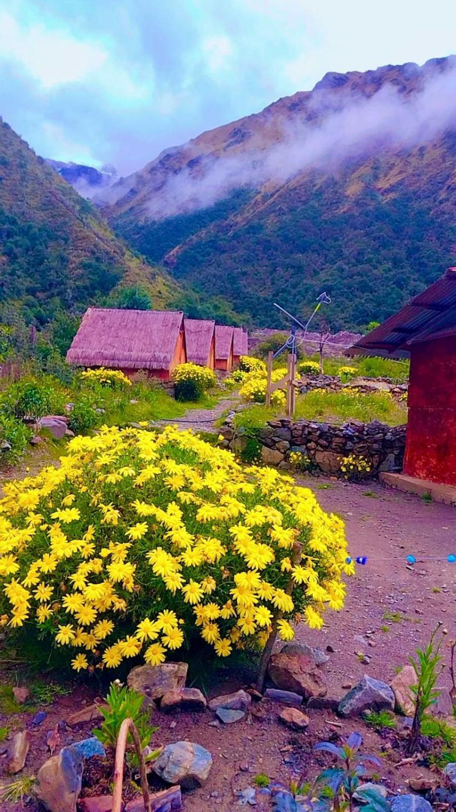 Cabanas Andinas Eco Lodge Mama Andrea Soray 외부 사진